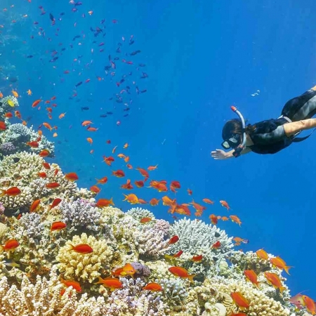 Hurghada Submarine Tour