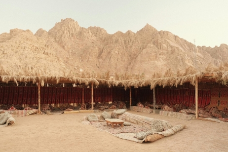 Mount Sinai and St. Catherine's Monastery Tour from Sharm El Sheikh