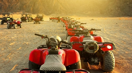 Quad Bike and Camel Safari in Sharm El Sheikh