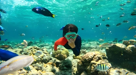 Giftun Island Snorkeling Trip
