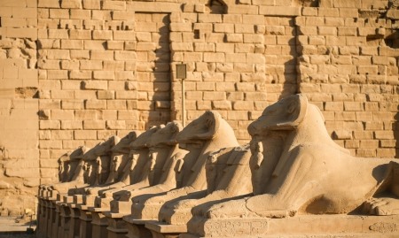 Luxor East Bank Tour