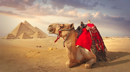 8 Days Trip to Egypt from the USA